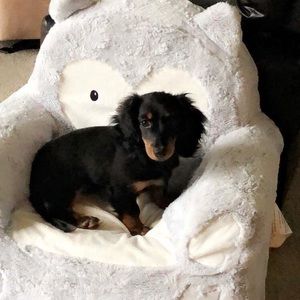 Meet your Posher, Blake